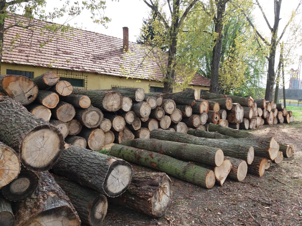 Erdészné Kft. - Konyhakész tűzifa készlet
